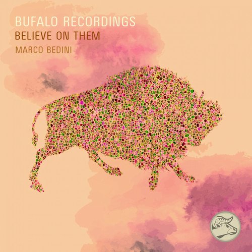 Marco Bedini - Believe On Them [BFR060]
